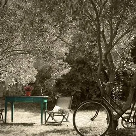 Anja * سوبيتار