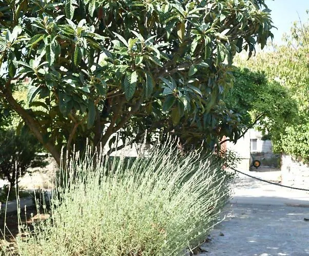 Anja Feriehus Supetar