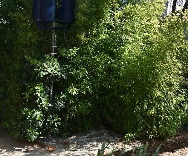 Anja Feriehus Supetar